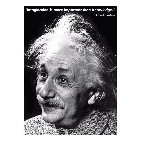Eurographics Einstein's Imagination Puzzle 1000 pièces