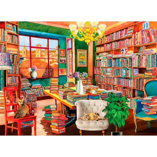 Puzzle Eurographics L'antique Bibliothèque de 1000 pièce Puzzle Eurographics L'antique Bibliothèque de 1000 pièce
