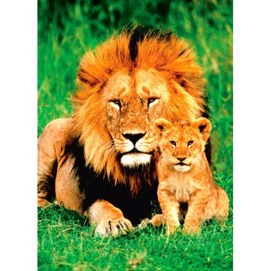 Eurographics Puzzle Lion et son veau 1000 pièces