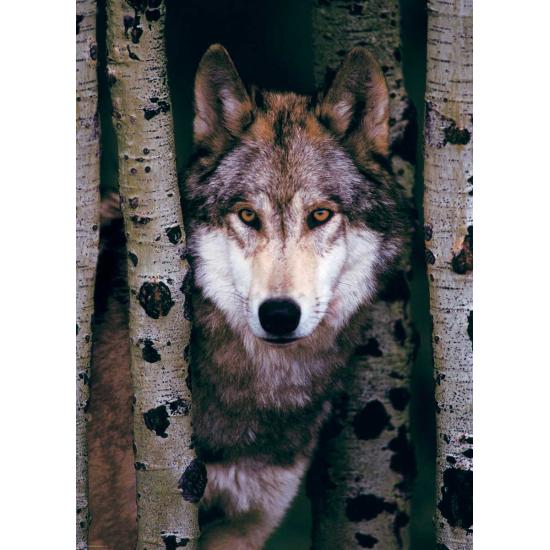 Eurographics Loup gris Puzzle 1000 pièces