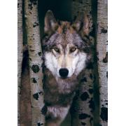 Eurographics Loup gris Puzzle 1000 pièces