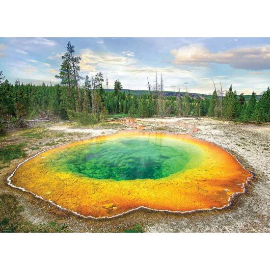 Eurographics Morning Glory Pool Puzzle 1000 pièces