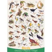 Eurographics Oiseaux Puzzle 1000 pièces