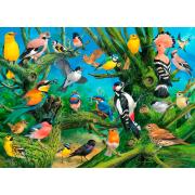 Eurographics Garden Birds Puzzle 1000 pièces