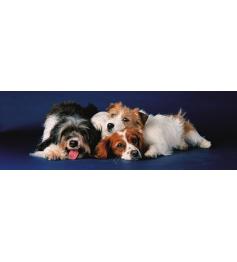 Eurographics Panorama des chiots Puzzle 750 pièces