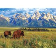 Eurographics Puzzle Parc national du Grand Teton 1000 pièces