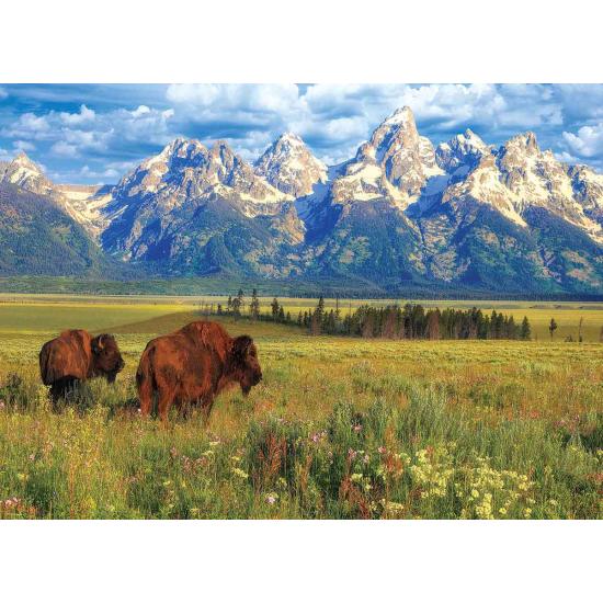 Eurographics Puzzle Parc national du Grand Teton 1000 pièces