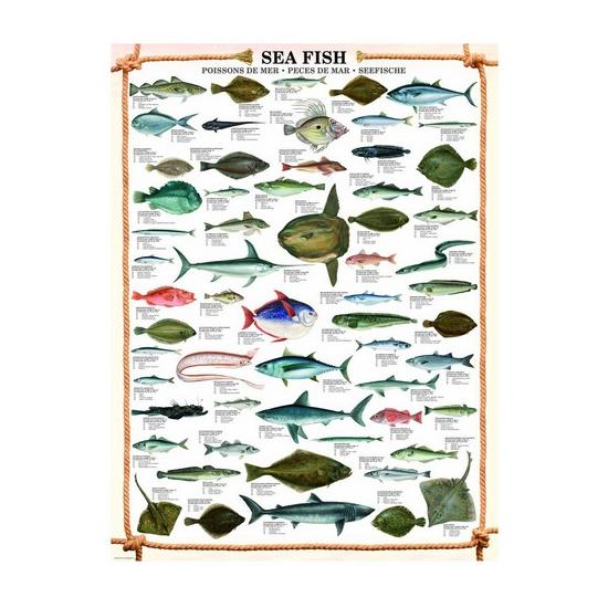 Puzzle 1000 pièces poisson d'eau salée Eurographics