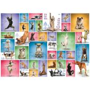 Eurographics Yoga Dogs Puzzle 1000 pièces