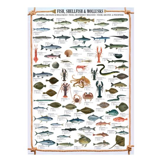 Puzzle Eurographics Poissons, fruits de mer et mollusques 1000 p