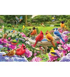 Puzzle Eurographics Oiseaux de Jardin 2000 pièces