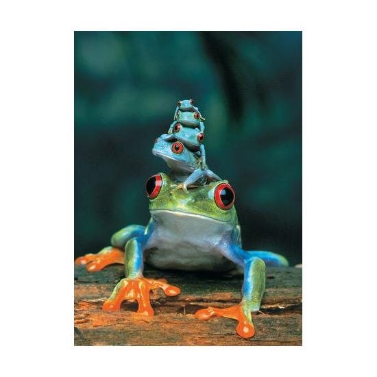 Eurographics Grenouille aux yeux rouges Puzzle 1000 pièces