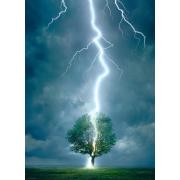 Eurographics Puzzle Lightning Hitting Tree 1000 pièces