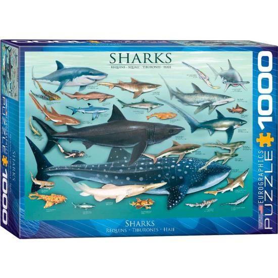 Eurographics Puzzle Requins 1000 pièces