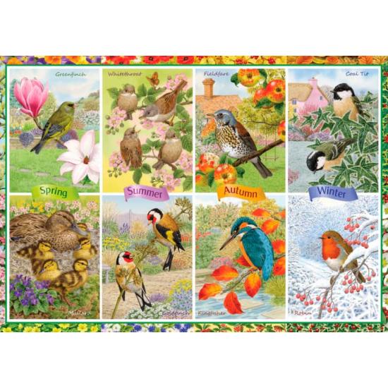 Puzzle 1000 pièces Oiseaux de jardin saisonniers Falcon