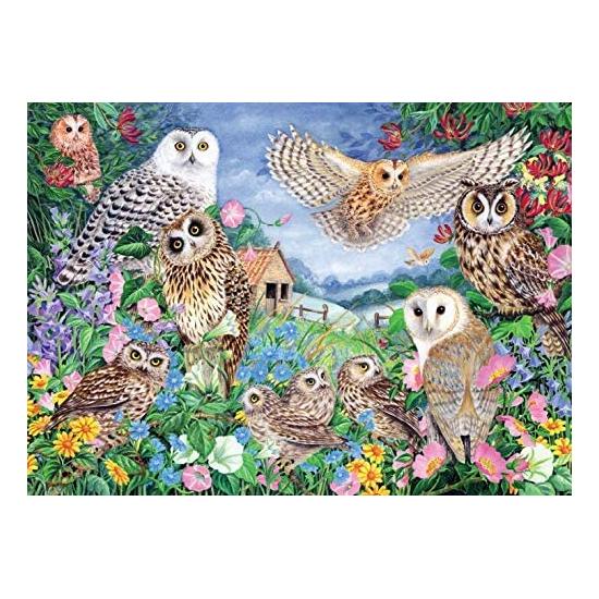 Puzzle Hiboux faucons dans la forêt 1000 pièces