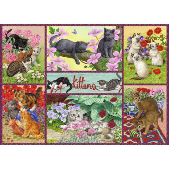 Puzzle Chatons Ludiques Faucon 500 pièces