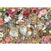 Puzzle 1000 pièces Falcon Cats in Flowers