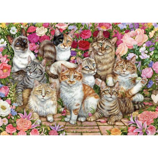 Puzzle 1000 pièces Falcon Cats in Flowers