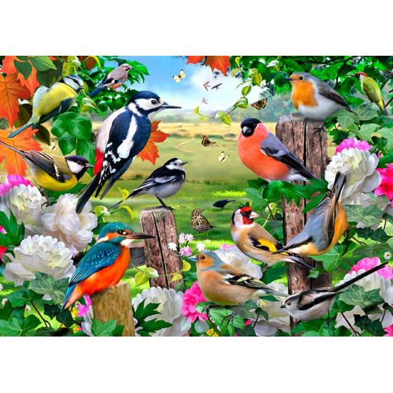 Puzzle 1000 pièces Falcon Birds of All Seasons Puzzle 1000 pièces Falcon Birds of All Seasons