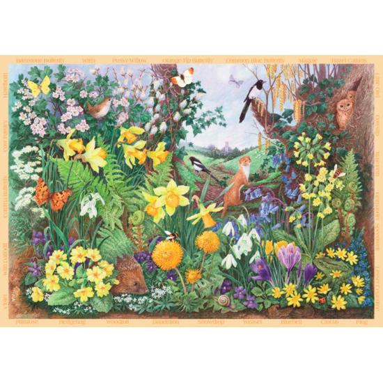 Puzzle printemps et été Falcon 2 x 500 pièces