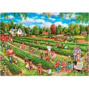 Puzzle cueillette de fraises Falcon 1000 pièces