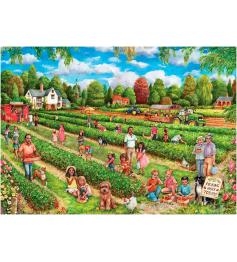 Puzzle cueillette de fraises Falcon 1000 pièces