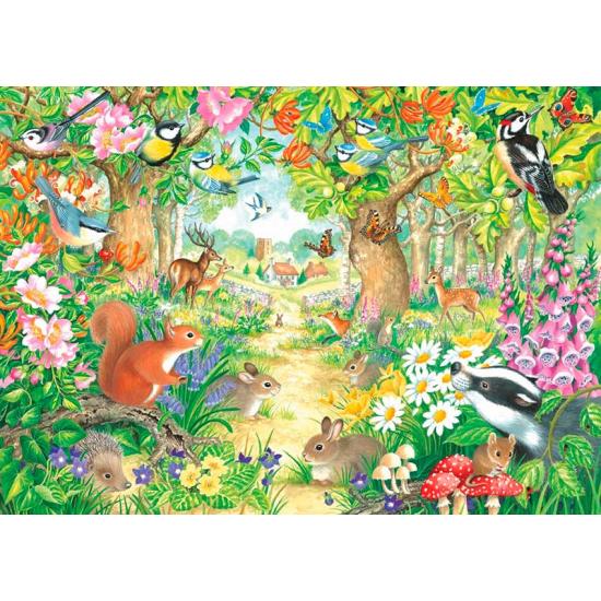 Falcon A Forest Path Puzzle 1000 pièces