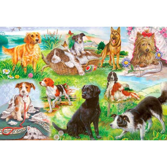 Gibsons Puzzle Tail Movement 500 pièces