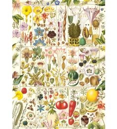 Puzzle Gibsons Traité Botanique 1000 pièces