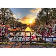 Puzzle Vélos dorés sur les canaux d'Amsterdam 1000 pièces