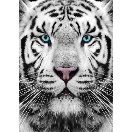 Puzzle Tigre de Sibérie doré 1000 pièces