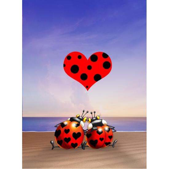 Puzzle Grafika Amour des Coccinelles 2000 Pièces