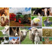 Puzzle Grafika Collage Animaux de la Ferme 1500 Pièces