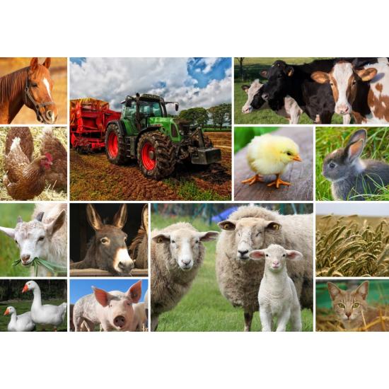 Puzzle Grafika Collage Animaux de la Ferme 1500 Pièces