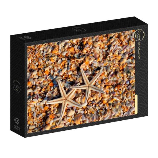 Puzzle Grafika Coquillages et Stars de Mer de 1000 Pieces