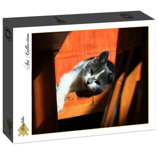 Puzzle Grafika Chaton 2000 Pièces