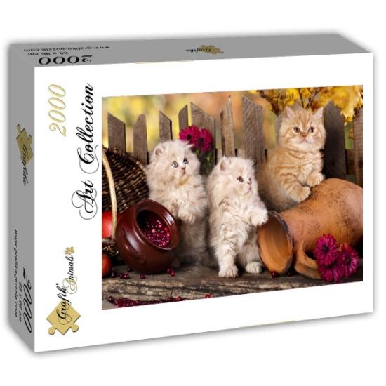 Puzzle Grafika Chats Persans 2000 Pièces