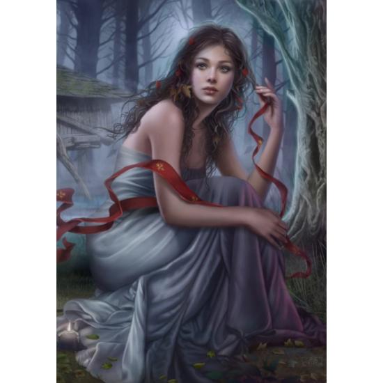 Puzzle Grafika Invisible la Nuit 1000 Pièces