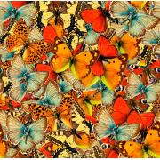 Puzzle Grafika Foule de Papillons 1000 Pièces
