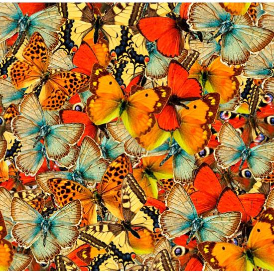 Puzzle Grafika Foule de Papillons 1000 Pièces