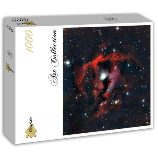 Puzzle Grafika Nébuleuse des Mouettes 1000 Pièces