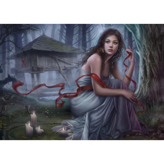 Puzzle Grafika Nuit Invisible 1000 Pièces