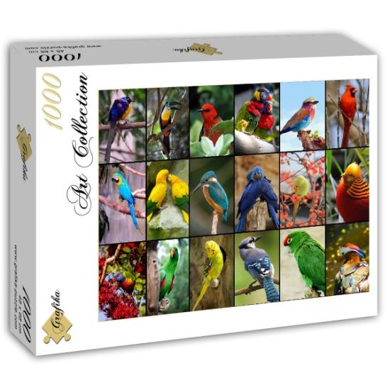 Puzzle Grafika Les Plus Beaux Oiseaux du Monde 1000 Pièces
