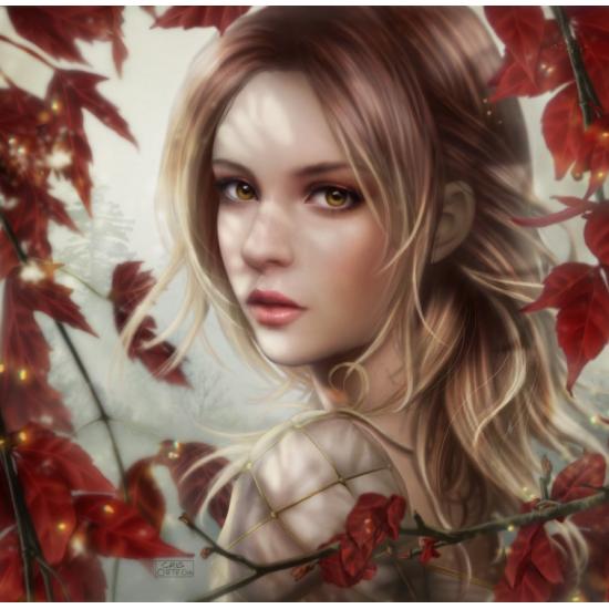 Puzzle Grafika Trèfle Rouge 1500 Pièces