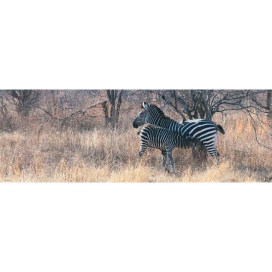 Puzzle Heye Food 1000 pièces