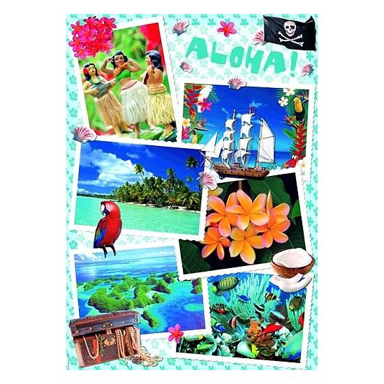 Puzzle Heye Aloha 1000 pièces