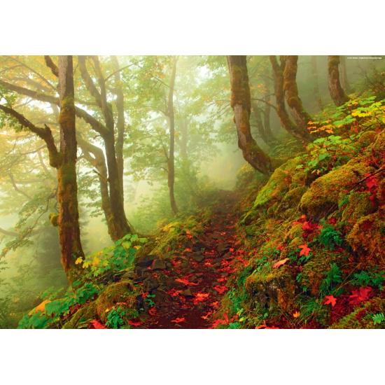 Puzzle Heye Magical Forest, Le Chemin de 1000 pièces