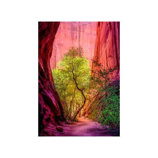 Puzzle Heye Ridge Canyon 1000 pièces