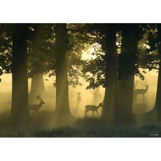 Puzzle Heye Cerf 1000 pièces